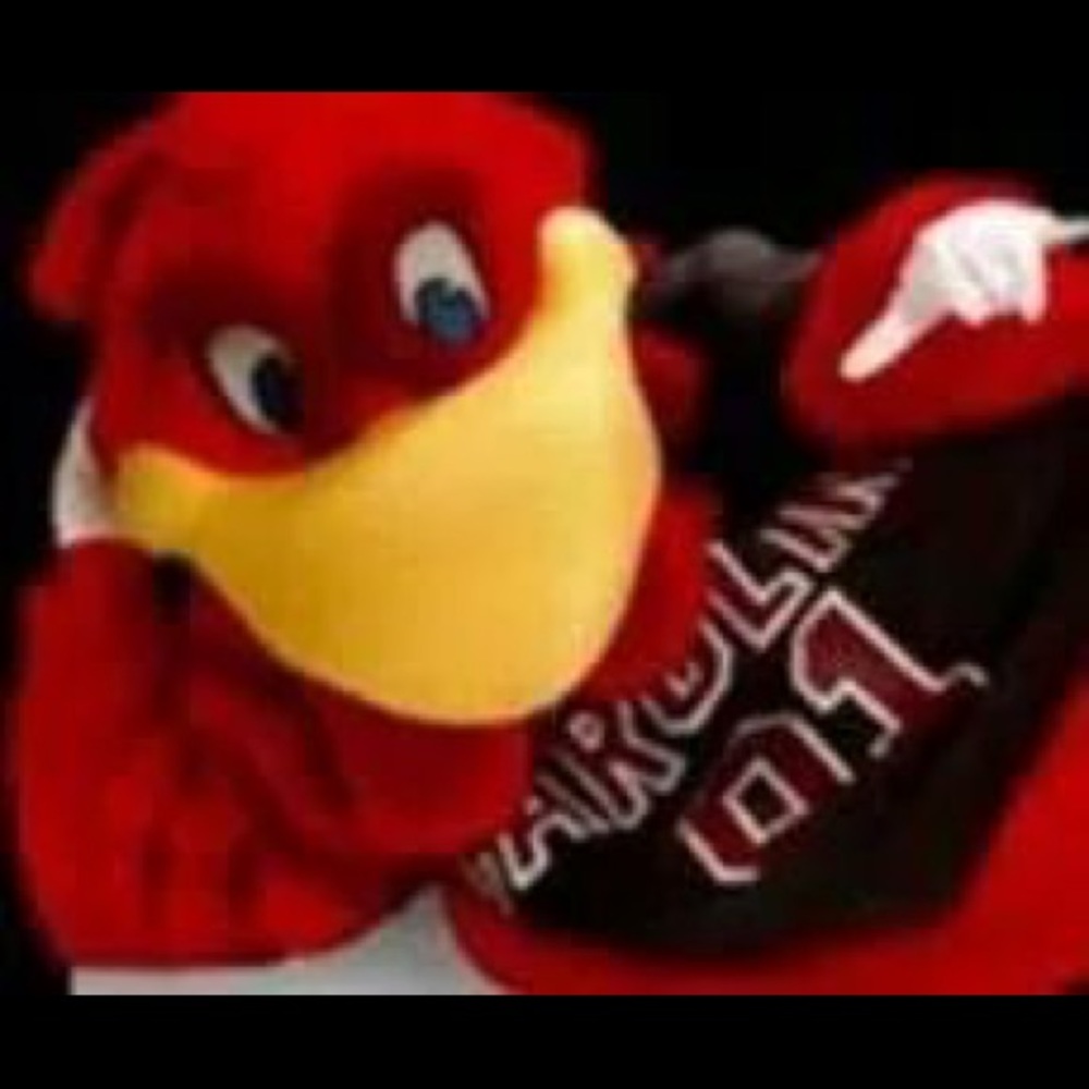 Meet your Posher, Jacqueline